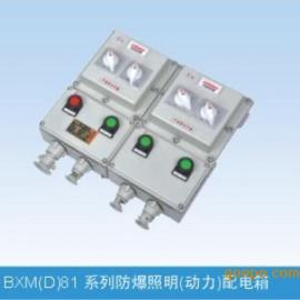 BXM(D)81防爆动力配电箱