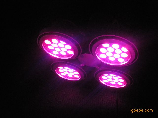 1346295109_3781.JPG