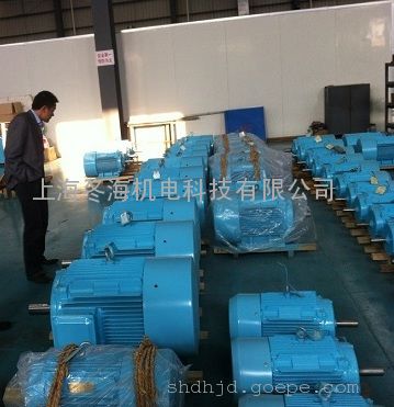 杭州永磁电机 永磁同步电动机 TYCX315S-6-75KW低压高效稀土永磁电机