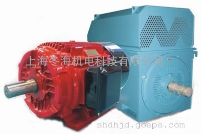 北京10极高压节能永磁电机TYX5603-10-630KW 上海10极高压节能永磁电机TYX5603-10-630KW