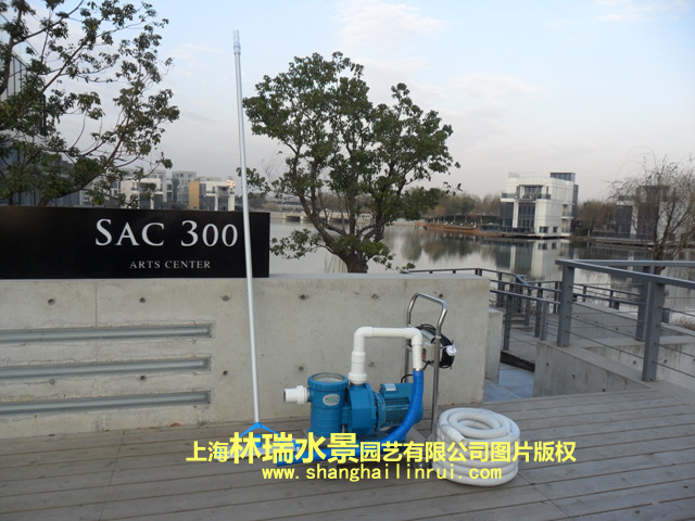 室内小鱼池效果图 cheap swimming pool高清图片