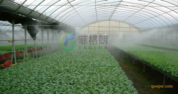 苗圃幼苗种植大棚喷雾降温加湿设备