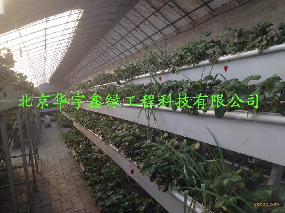 草莓立体栽培设备-无土栽培设备