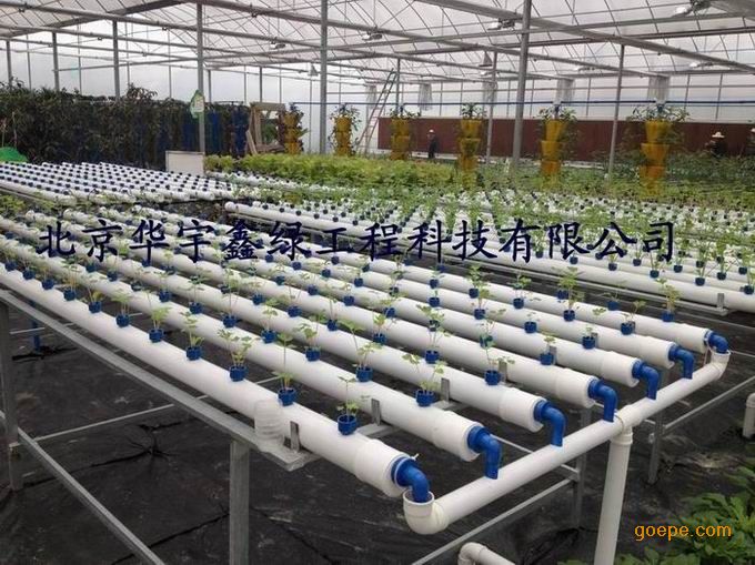 平铺管式无土栽培设备-无土栽培-水培设备