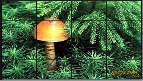 湖南长沙55寸拼接屏专业机柜安装|55寸会议专