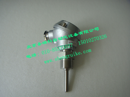 WZPK-230A-北京热电偶厂家WRNK-南京热电