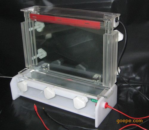 DNA测序电泳槽-测序电泳槽