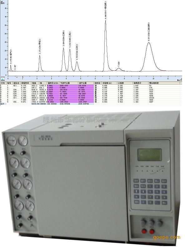 氢焰型气相色谱仪-氢火焰离子化检测器(FID)