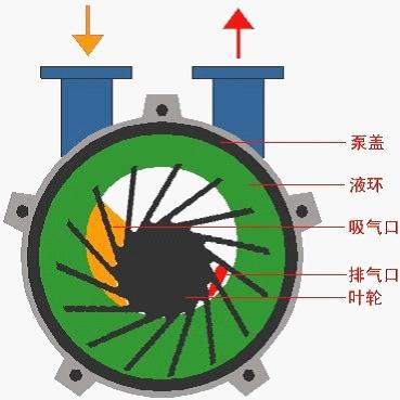 ska5111水环式真空泵结构图