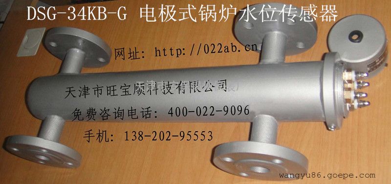 dsg-34kb-g电极式锅炉水位传感器