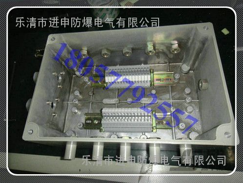 防爆防腐端子箱 防腐接线箱进出线-防爆接线箱