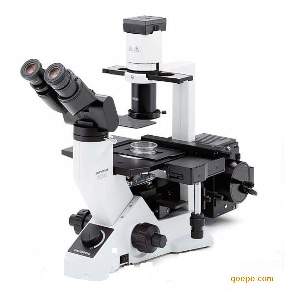 00/台                   2015奥林巴斯ckx41临床倒置显微镜为您私人