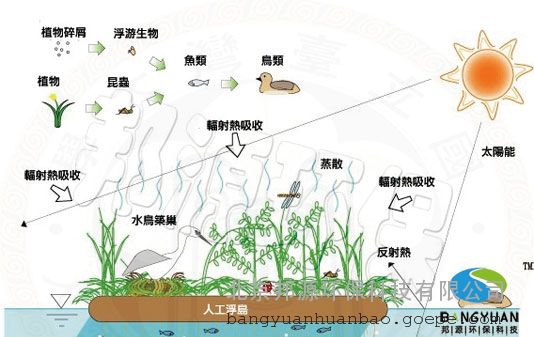 据上述报道,可想而知人工浮岛对改善水体水质是有着明显效果的,人工浮岛的水质净化的定义因目的、对象的不同而有所不同,人工浮岛的水质净化主要针对富营养化的水质而言的,通过减少COD(化学需氧量)、氮、磷的浓度来抑制藻类的发生,提高水体透明度,它的净化机理基本上与湖沼沿岸植物带的水质净化机理相似。根据有关研究资料,湖沼沿岸植物带的水质净化要素由以下7点:1.