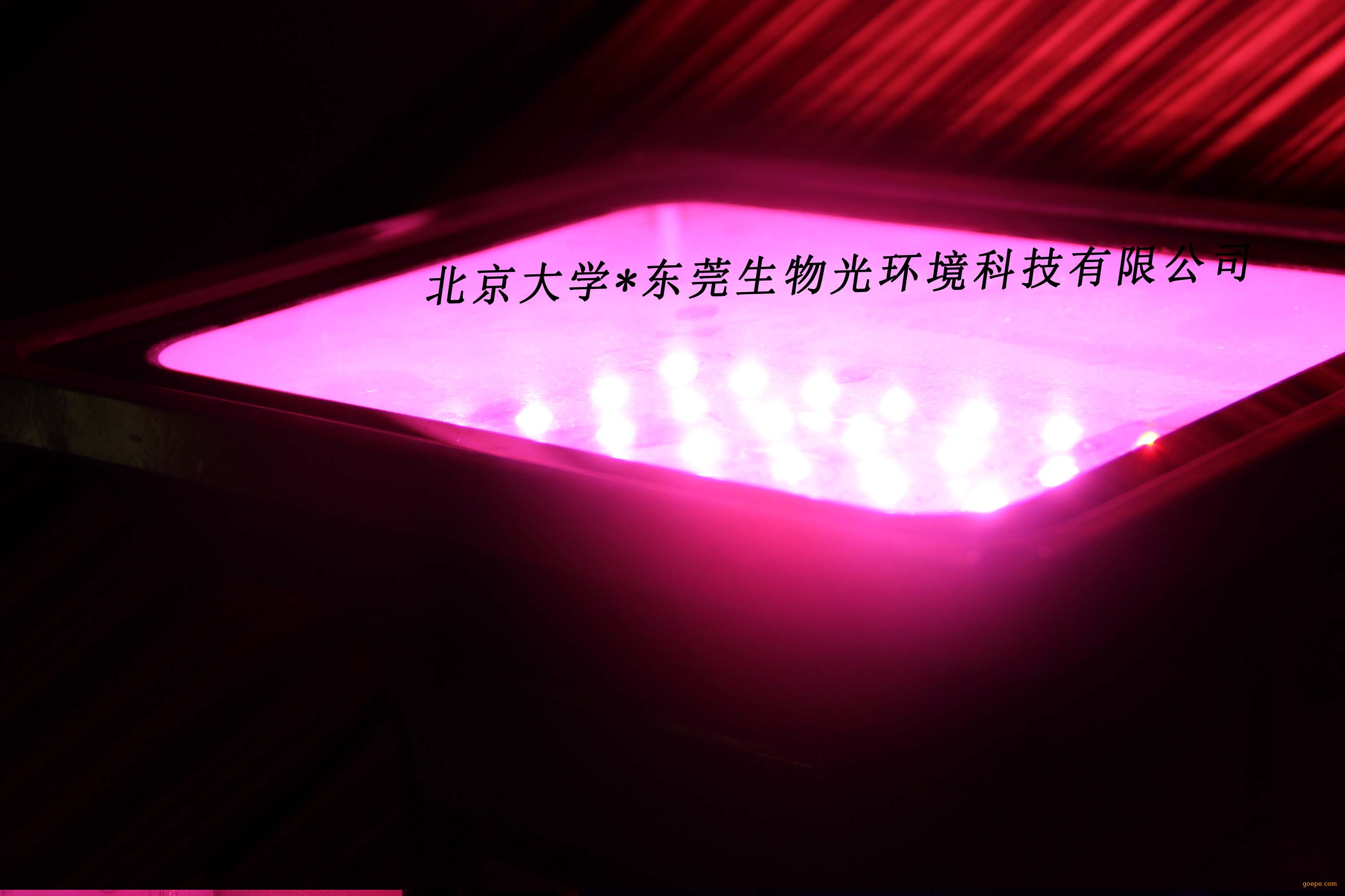 1405410350_6588.jpg