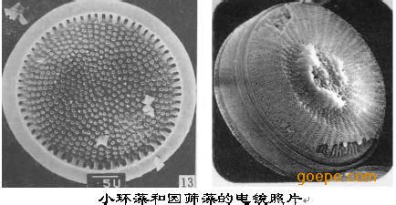 我司供应硅藻土功能材料.