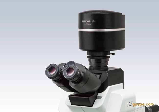 奥林巴斯显微镜尖端DP80摄像机带制冷