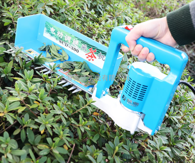 藤原4cd-30a电动采茶机小型充电式便携摘茶叶机器 茶叶采摘机