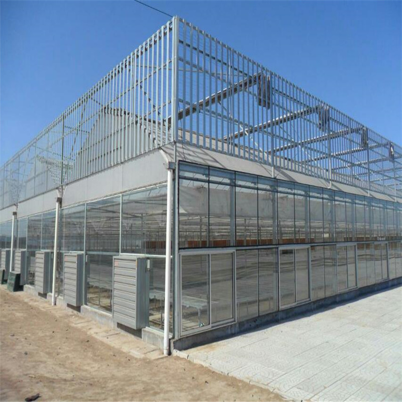 智能温室大棚设计 龙鑫温室 阳光板玻璃温室 连栋温室