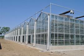 奥农苑玻璃温室大棚//连栋玻璃温室工程施工