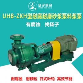扬子（YANGZI）UHB-ZK型耐腐耐磨砂浆泵 耐酸碱杂质污水泵压滤机脱硫泵聚乙烯40UHB-ZK10-30