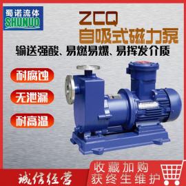 ZCQ自吸式磁力泵