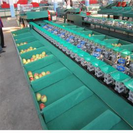 苹果分级设备，苹果自动选果机捡果机，多功能果蔬分选机