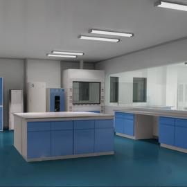 环扬医院净化工程，实验室系统整体安装工程，一流施工设计