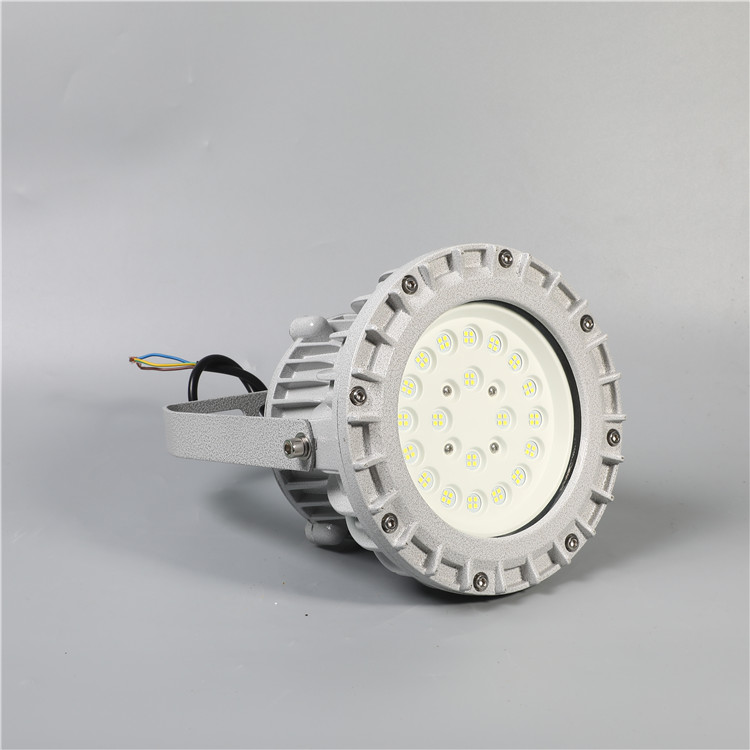 依客思 耐高温化工厂车间LED防爆照明灯EKS210-50w