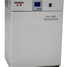 细菌培养箱 37度恒温箱 DHP-9162