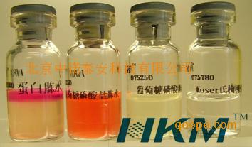 �󳦸˾�IMViC����������