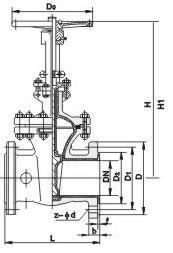 Z41F46-16C-DN200ķբ