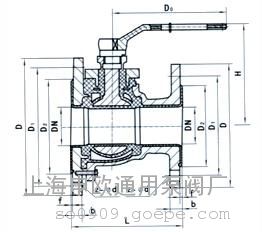 FQ41F46-16C-DN50X80ķ