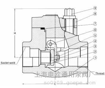 H14W-800LB-1/2''˿304͸ʽֹط