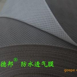 䓽Y0.49mmˮ͸Ĥ