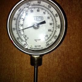 TREND¶ȼƴ wika thermometer