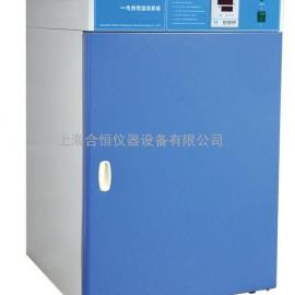 电热恒温培养箱,细菌培养箱,恒温箱DHP-9162