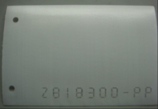 Z818300-PP˲