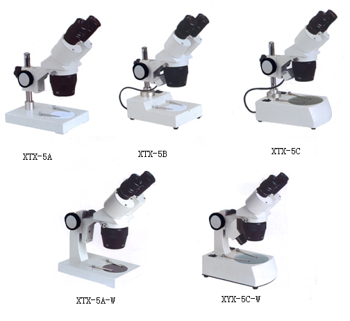 XTX-5С΢