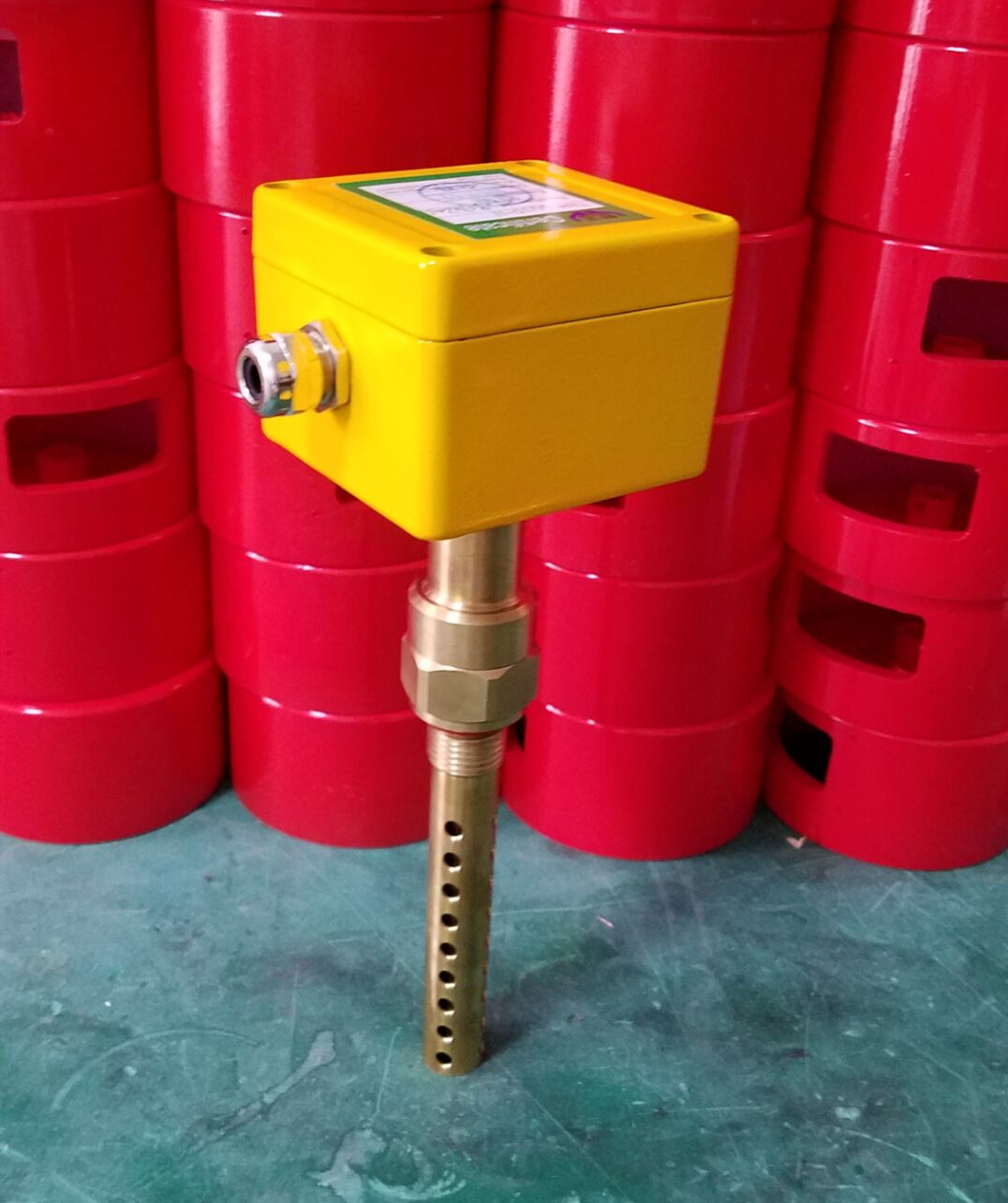 电极插入式油混水信号器WM1-L1750-DC24V