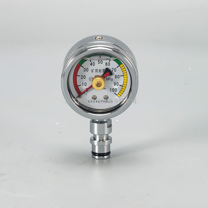 ۲ɱ100MPaѹѹ˫עDN10