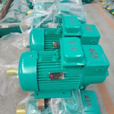ػеYZR綯 ˫ػYZR160M2-6-7.5KW