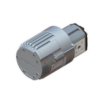 ӢAshwoods綯ŵգЧС