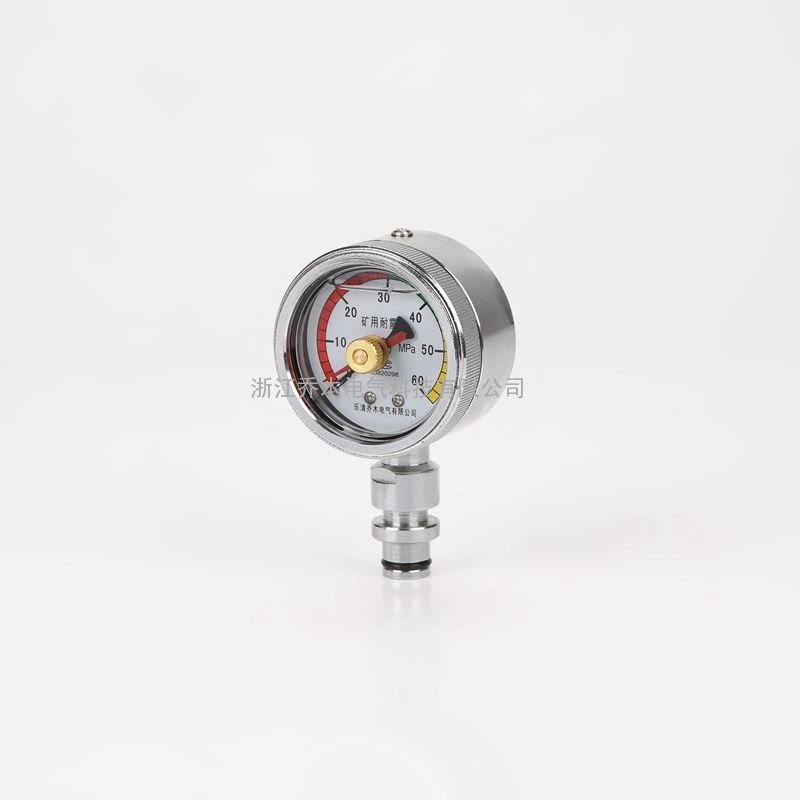 ľ˫ѹú۲YLBKJ10 60MPa