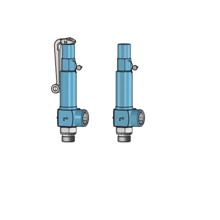 Niezgodka safety valve 3Niezgodka