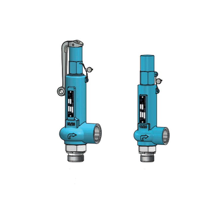 Niezgodka safety valve 3Niezgodka