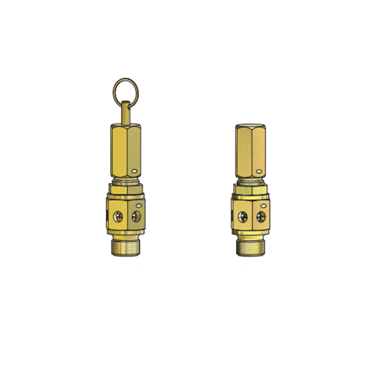 Niezgodka safety valve 30Niezgodka