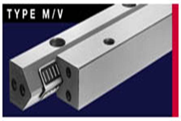 ����SCHNEEBERGER����