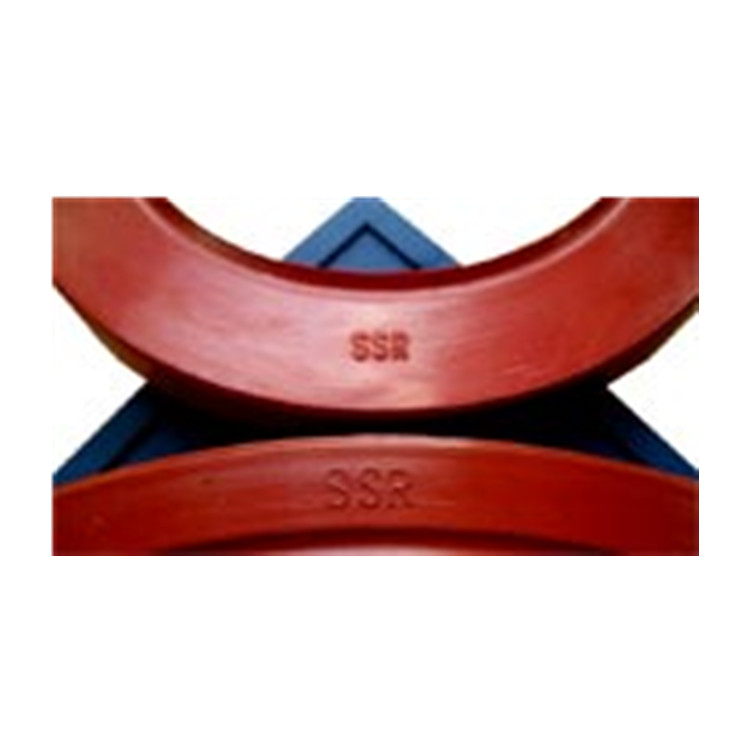 SSR¹ܷȦSSR