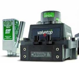 ��������TOPWORX��λ����