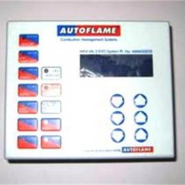 Ӣ��AUTOFLAME������
